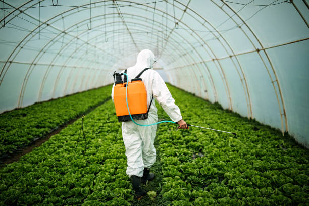 Best Pest Control for Businesses  in , TN