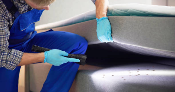 Best Local Pest Control Services  in , TN