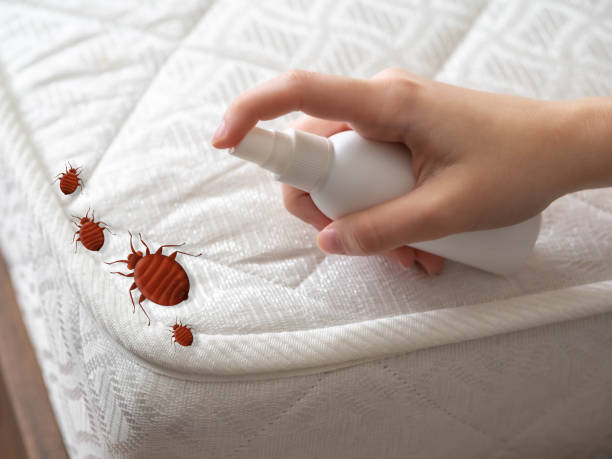 Best Bed Bug Extermination  in , TN