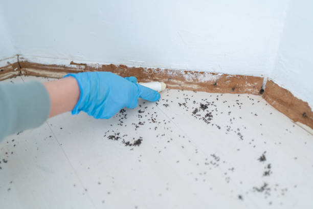 Best Pest Removal Services  in , TN